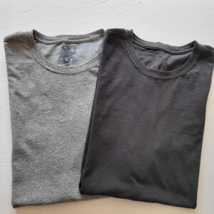 Two Fruit Of The Loom Tees.